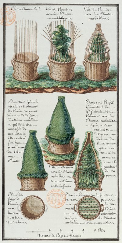 Illustratie van een geweven mand voor het vervoeren van planten, uit het notitieboek van de kunstenaar gemaakt tijdens de expedities van Jean-Francois Gallup de la Perouse (1741-88) door Gaspard Duche de Vancy